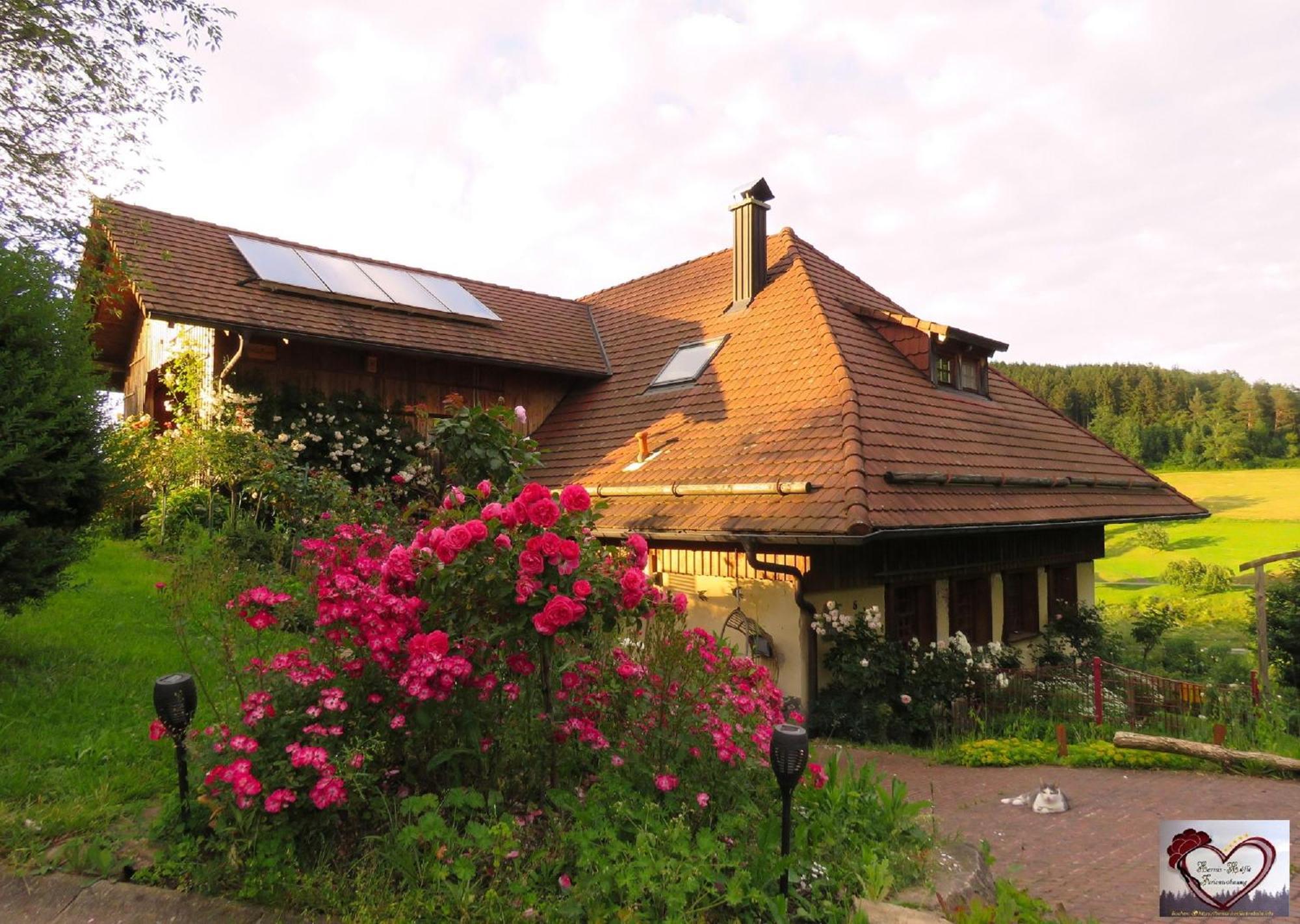 Hernis-Hoefle Elzach Ngoại thất bức ảnh